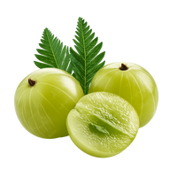 AMLA
