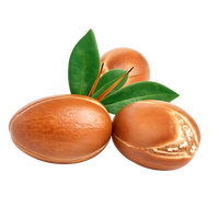 ARGAN