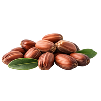 JOJOBA